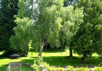 Hotel La Clairiere Chambon-sur-Dolore ภายนอก รูปภาพ